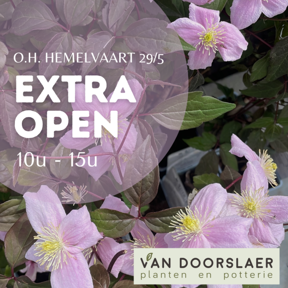 open  29/05 van 10-15 uur