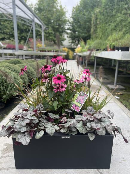 Vul nu je plantenbakken voor het najaar.