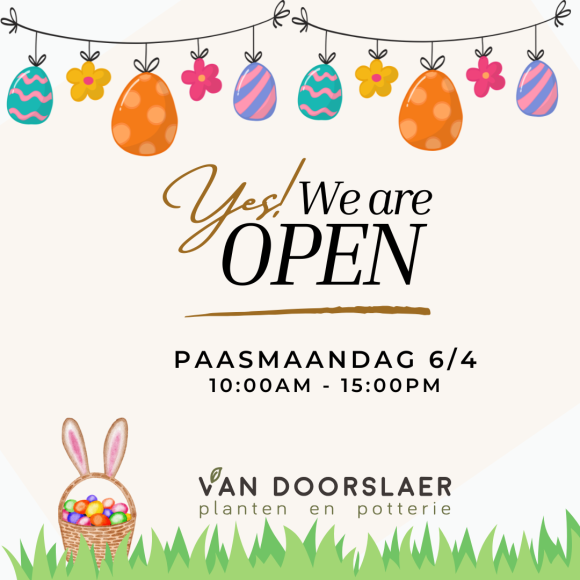 Open paasmaandag 6/4