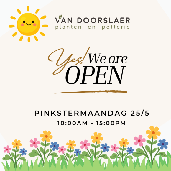 open op 25/5