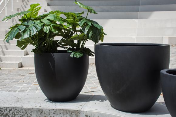 Eggpot Antra