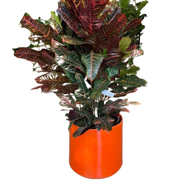 Flowerpot conic orange