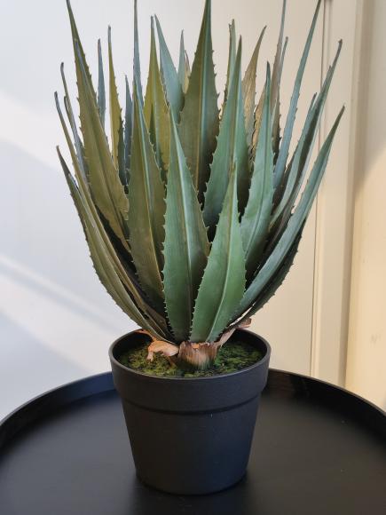 Agave kunstplant
