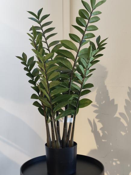 Zamioculcas kunstplant