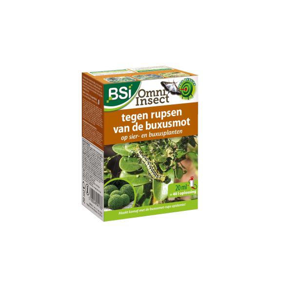Omni insect buxus
