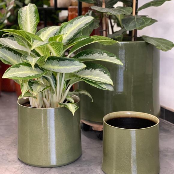 Flowerpot conic verde