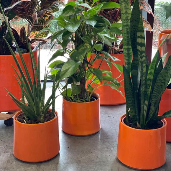 Flowerpot conic orange