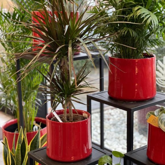 Flowerpot conic red