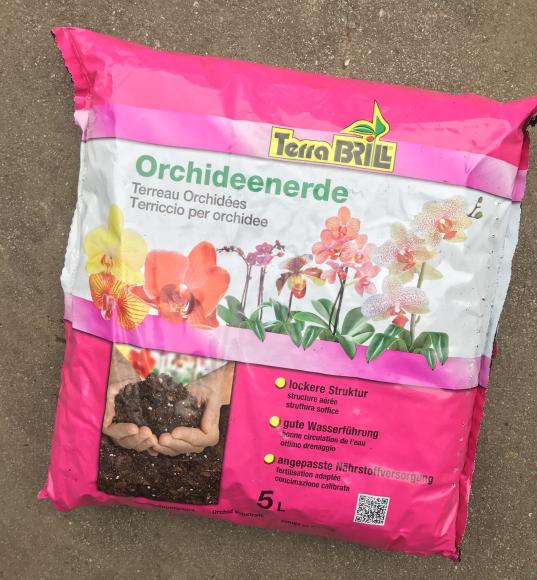 Orchideegrond