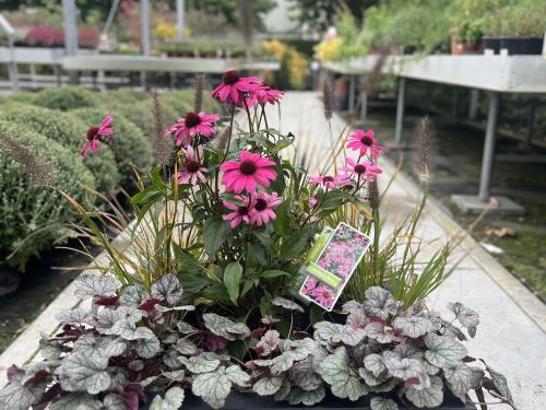 Vul nu je plantenbakken voor het najaar.