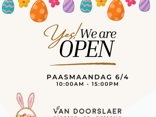 Open paasmaandag 6/4