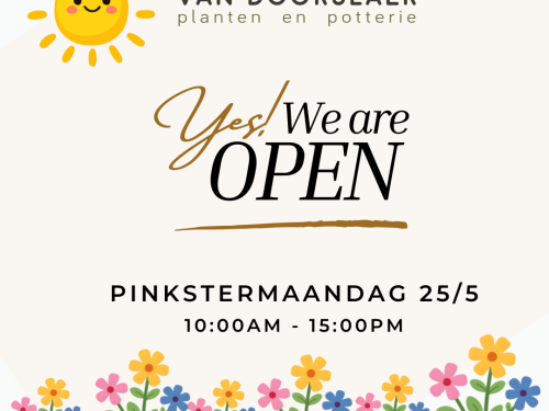 open op 25/5