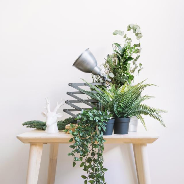 Klein assortiment kunstplanten