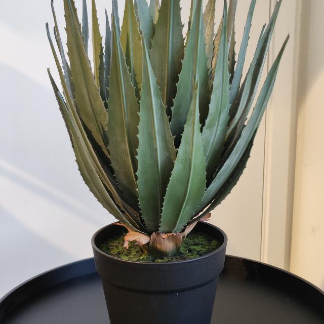 Agave kunstplant
