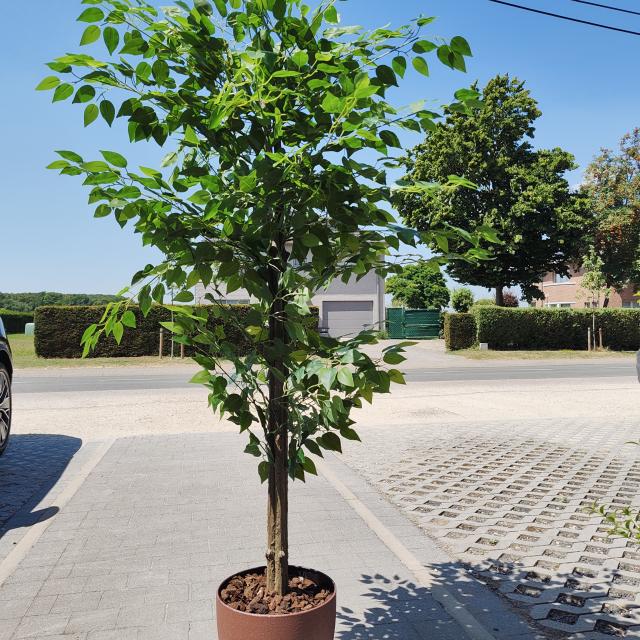 Ficus kunstplant