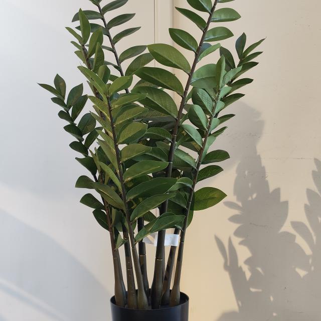 Zamioculcas kunstplant