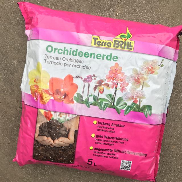 Orchideegrond